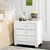 Euclid 3-Drawer Nightstand (White/Gold)