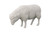 Sheep Sculpture Gel Coat (White)