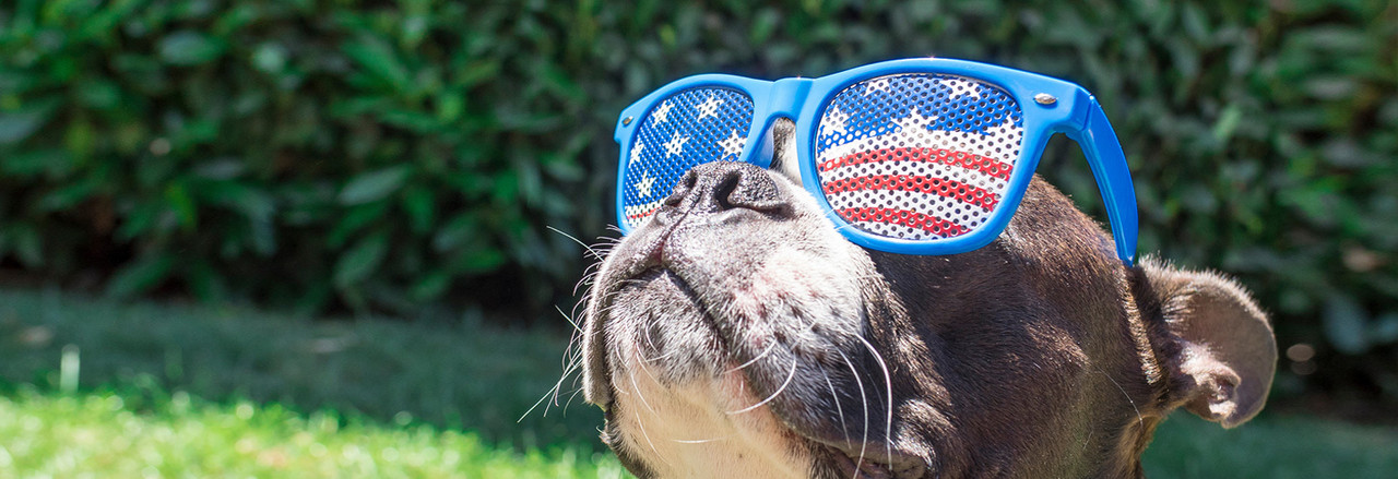 4th july sale in usa