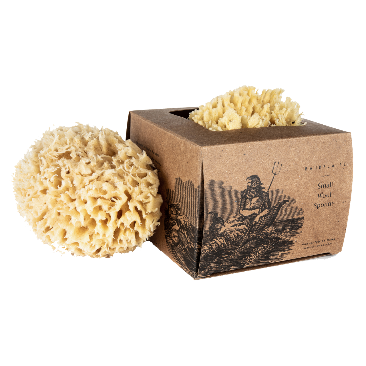 Natural Sea Wool Sponge