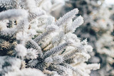 3 Secrets to Winter Self-Care 3 Secrets to Winter Self-Care
