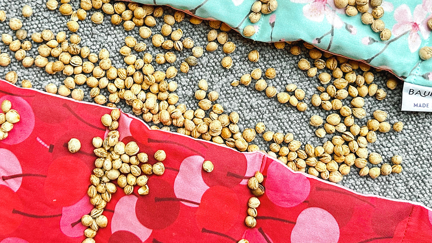 What Are Cherry Stones? Baudelaire