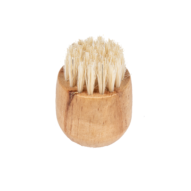 Amazon.com: The Magic Brush: A Story of Love, Family, and