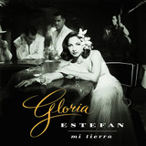 Gloria Estefan - Mi Tierra Vinyl Record Album Art Gloria Estefan - Mi Tierra Vinyl Record Album Art