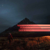Dominic Fike - What Could Possibly Go Wrong Vinyl Record Album Art
