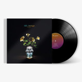 Picture of Renewal Vinyl Record