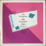 Actual image of the back cover of The Back Bag's Dial My Number second hand vinyl record taken in our Melbourne record shop