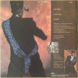 Actual image of the back cover of Bobby Brown's Every Little Step second hand vinyl record taken in our Melbourne record shop