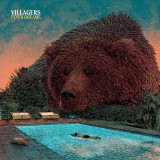 Villagers - Fever Dreams Vinyl Record Album Art