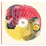 Christophe Beck - Ant-Man and The Wasp - Original Motion Picture Soundtrack Vinyl Record Album Art