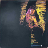 Actual image of the back cover of Icehouse's Measure For Measure second hand vinyl record taken in our Melbourne record shop