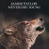 James Taylor  - Never Die Young Vinyl Record Album Art