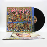 Sufjan Stevens - Javelin Vinyl Record Album Art