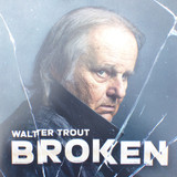 Walter Trout - Broken Vinyl Record Album Art