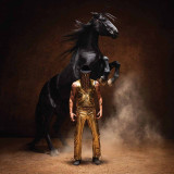Orville Peck - Bronco Vinyl Record Album Art