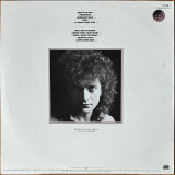 Actual image of the back cover of Lou Gramm's Ready Or Not second hand vinyl record taken in our Melbourne record shop