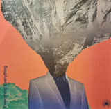Everything Everything - Mountainhead Vinyl Record Album Art
