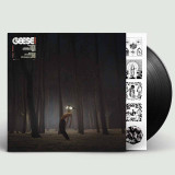 Geese  - Projector Vinyl Record Album Art
