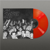 Liam Gallagher - C'mon You Know Vinyl Record Album Art