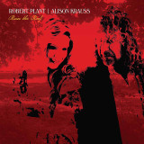 Robert Plant | Alison Krauss - Raise The Roof Vinyl Record Album Art