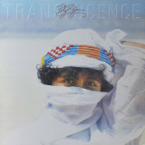 Poly Styrene - Translucence Vinyl Record Album Art