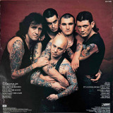 Actual image of the back cover of Rose Tattoo's Scarred For Life second hand vinyl record taken in our Melbourne record shop