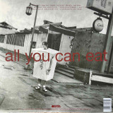 Actual image of the back cover of k.d. lang's All You Can Eat second hand vinyl record taken in our Melbourne record shop