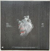 Picture of This Is Why Vinyl Record