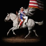 Beyonce - Cowboy Carter Vinyl Record Album Art