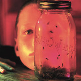 Alice In Chains - Jar Of Flies Vinyl Record Album Art