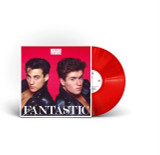 Picture of Fantastic Vinyl Record