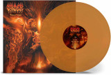 Vader - Tibi Et Igni Vinyl Record Album Art