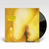 Picture of Pisces Iscariot Vinyl Record