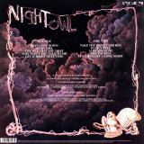 Picture of Night Owl Vinyl Record