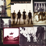 Hootie & The Blowfish - Cracked Rear View Vinyl Record Album Art