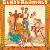 Glass Animals - How To Be A Human Being Vinyl Record Album Art