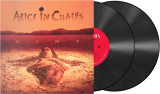 Alice In Chains - Dirt Vinyl Record Album Art