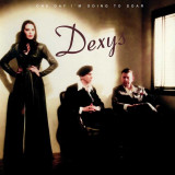 Dexys - One Day I'm Going To Soar Vinyl Record Album Art