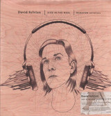 David Sylvian - Died In The Wool | Manafon Variations Vinyl Record Album Art