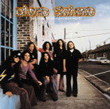 Lynyrd Skynyrd - (Pronounced 'Lĕh-'nérd 'Skin-'nérd) Vinyl Record Album Art