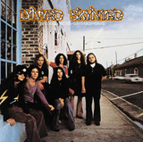 Lynyrd Skynyrd - (Pronounced 'Lĕh-'nérd 'Skin-'nérd) Vinyl Record Album Art