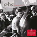 a-ha - Hunting High And Low Vinyl Record Album Art