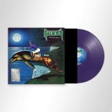 Picture of The Fool Circle Vinyl Record