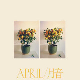 Emmy The Great - April / 月音 Vinyl Record Album Art