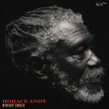 Horace Andy - Midnight Rocker Vinyl Record Album Art