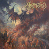 Cryptopsy - As Gomorrah Burns Vinyl Record Album Art