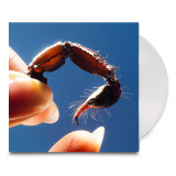 Squid - Cowards Vinyl Record Album Art