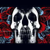 Deftones - Deftones Vinyl Record Album Art Deftones - Deftones Vinyl Record Album Art