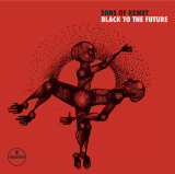 Sons Of Kemet - Black To The Future Vinyl Record Album Art