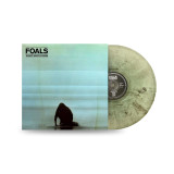 Foals - What Went Down Vinyl Record Album Art